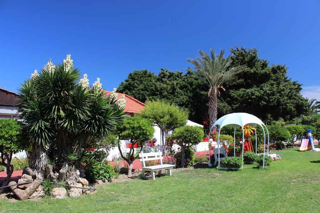 Corellia Asterias Beach Hotel Theológos Buitenkant foto